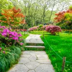 Come realizzare un bel giardino privato?